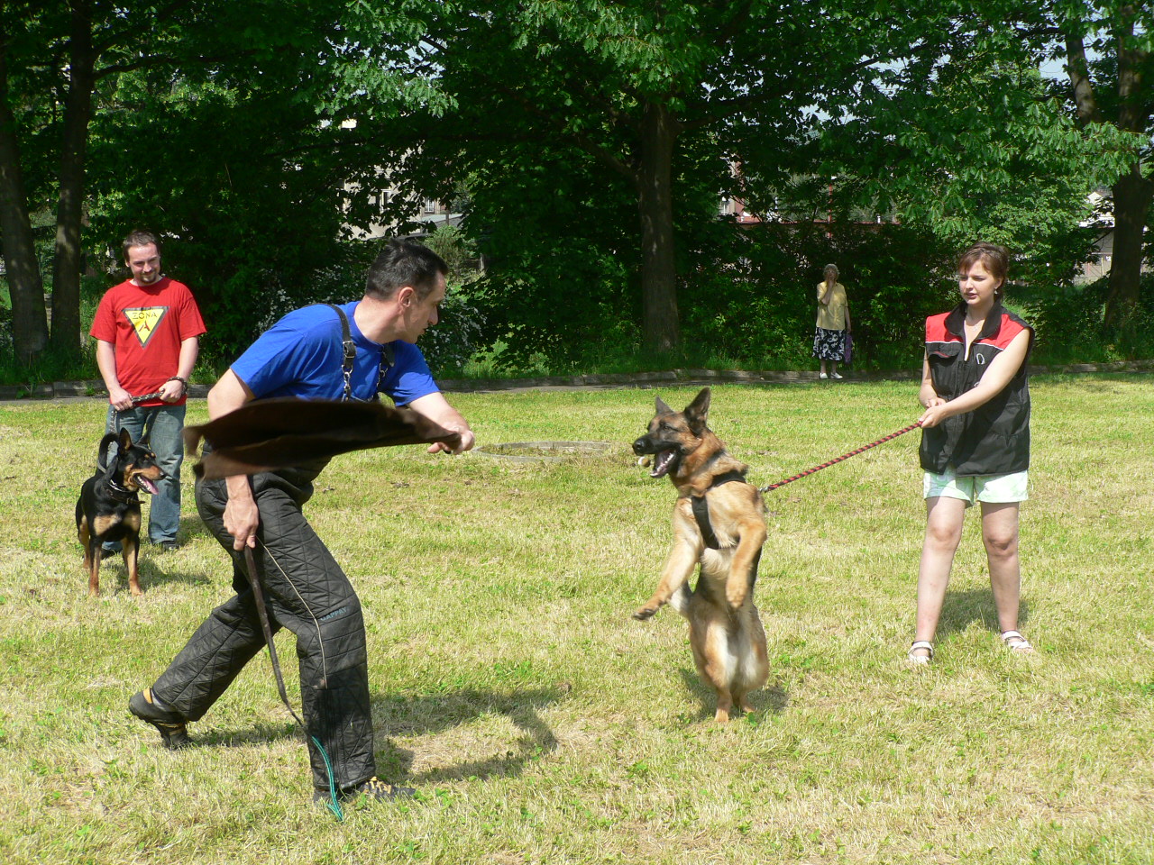 Semiliáda 31. 5. 2008 018.jpg