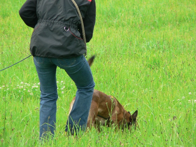 Kopie - Zkoušky NZŘ 20.6.2009 033.jpg