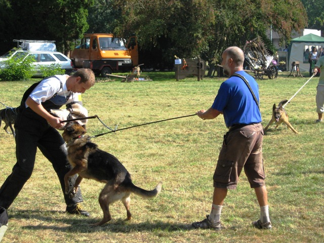 Kopie - Pecen 2009 - P. Hovad 023.jpg