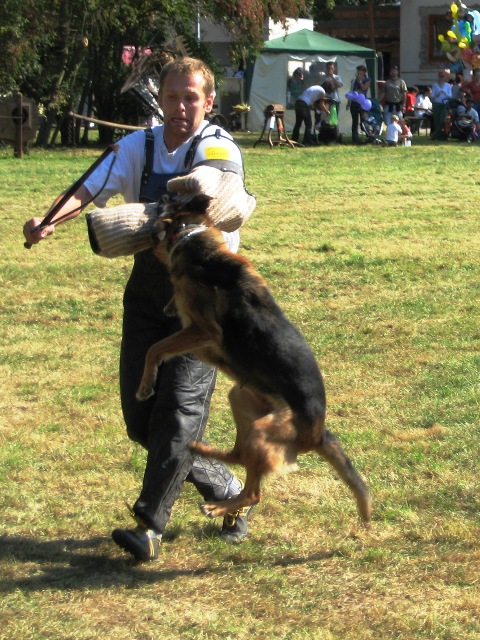 Kopie - Pecen 2009 - P. Hovad 031.jpg