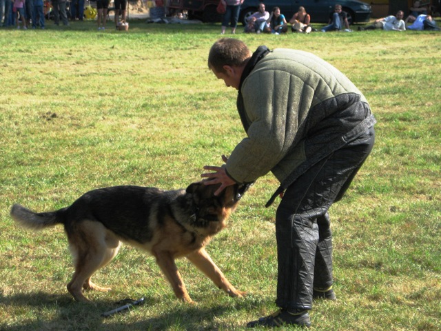 Kopie - Pecen 2009 - P. Hovad 051.jpg